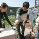 Десятки собак спасли от съедения в Южной Корее