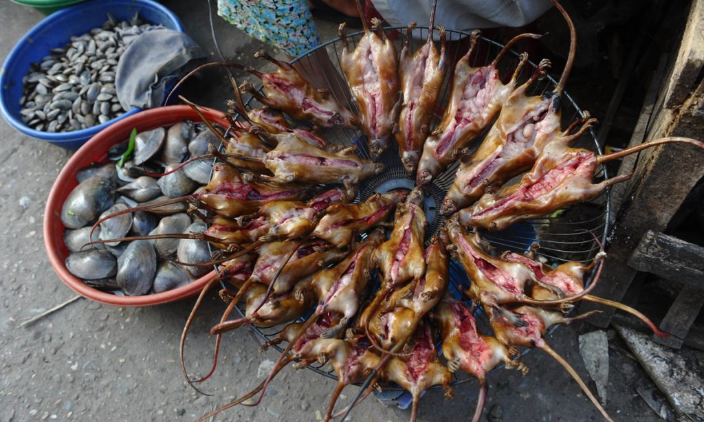 На вьетнамских рынках для самых дорогих ресторанов продается мясо летучих мышей, а также крыс, дикобразов и некоторых других грызунов, считающихся во Вьетнаме деликатесом.