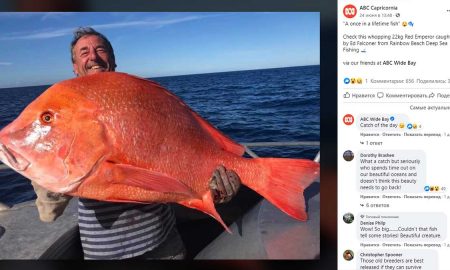Мужчина поймал самую большую рыбу в жизни и пожертвовал ее науке