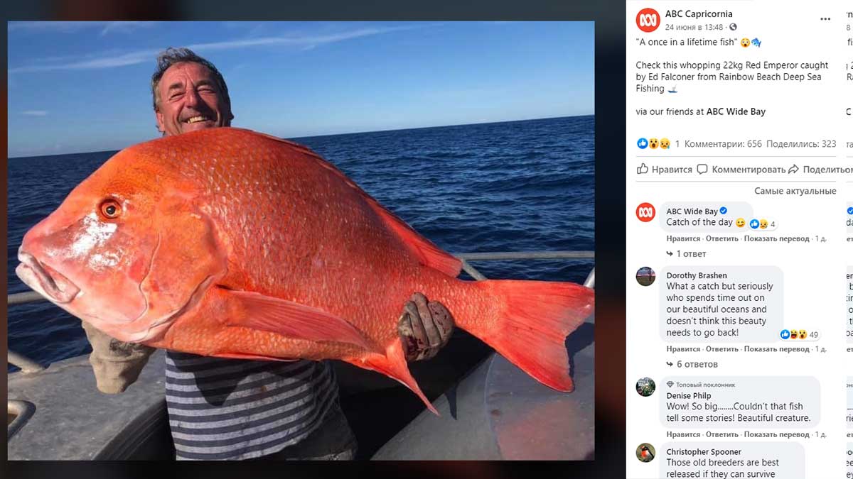 Мужчина поймал самую большую рыбу в жизни и пожертвовал ее науке