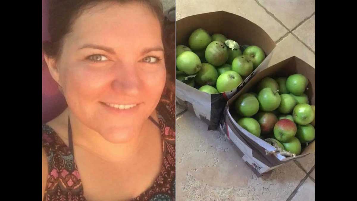 Британка решила бесплатно раздать яблоки из своего сада и получила штраф