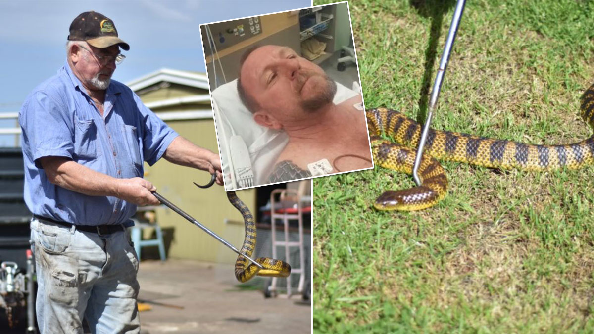 Смертельно опасная змея укусила кормившего ее дрессировщика