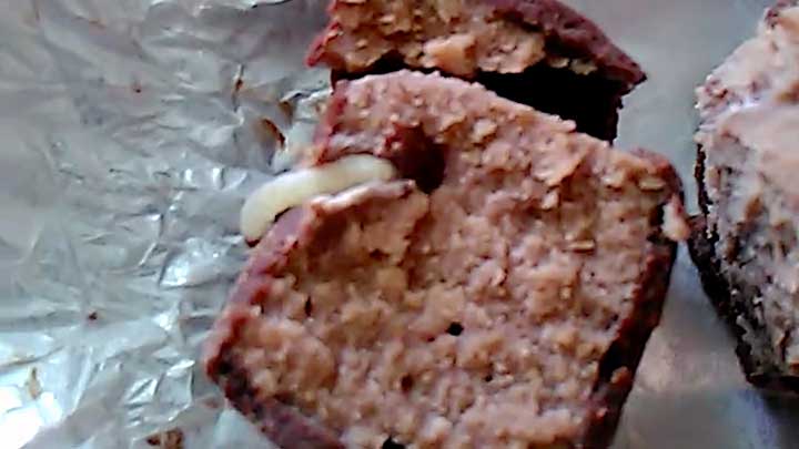 Личинки в начинке: жительница Челябинска нашла в конфетах живых червей