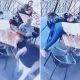 Попытка похитить ребенка в кафе попала на видео