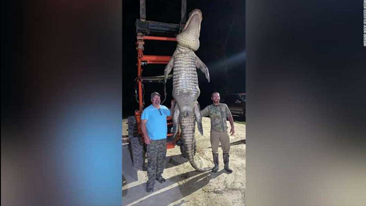 Рыболов убил охотившегося на него четырехметрового аллигатора