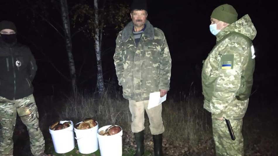 В Чернобыле задержаны сборщики радиоактивных грибов