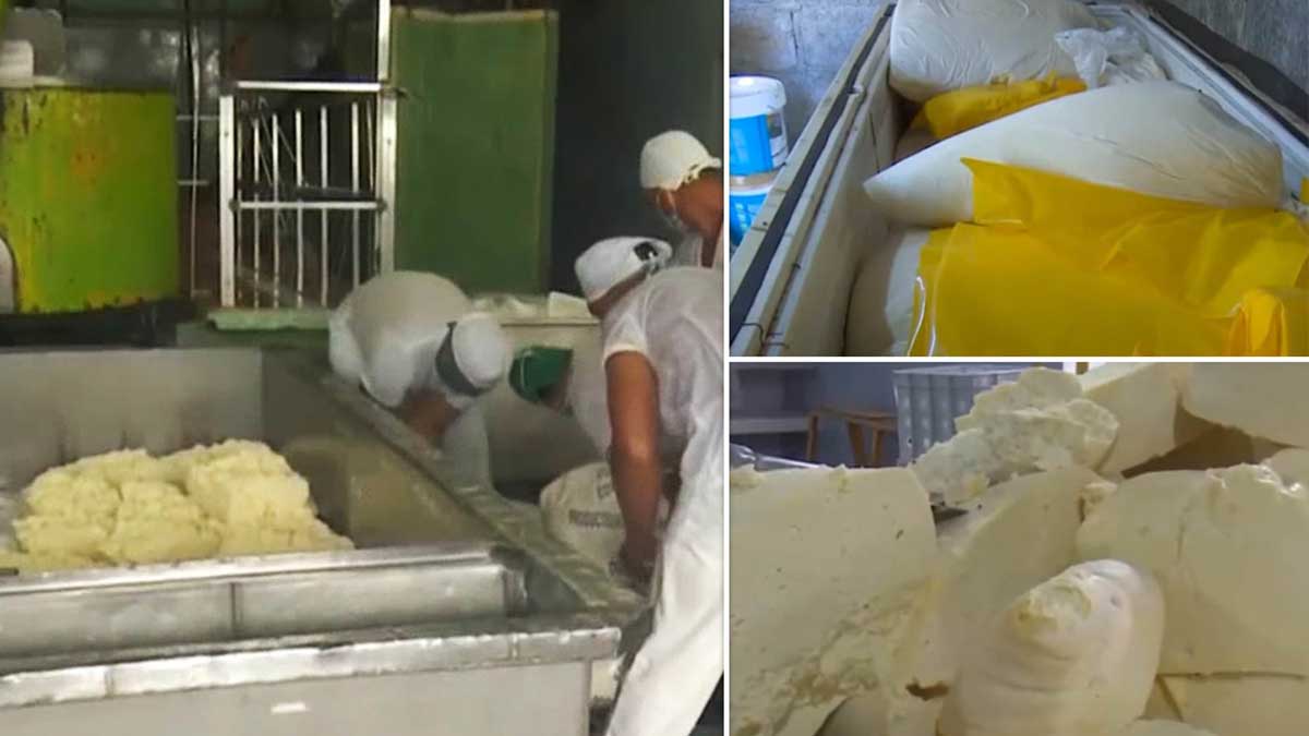 Работники фабрики на Кубе украли почти полторы тонны сыра
