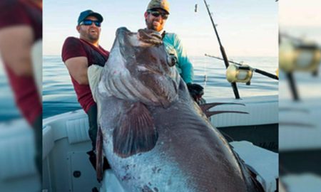 Рыболовы поймали окуня-гиганта длиной больше человеческого роста