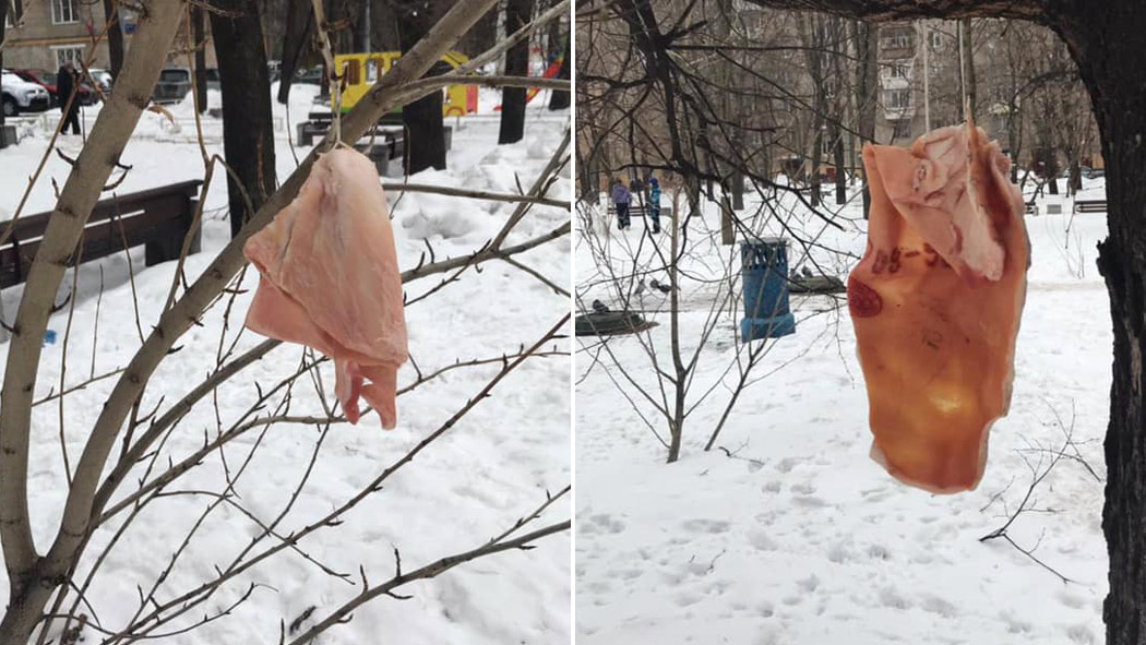 Птичек подкормить: развешанные во дворах свиные шкуры напугали москвичей
