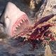 Видео: акулы устроили пиршество останками мертвого кита