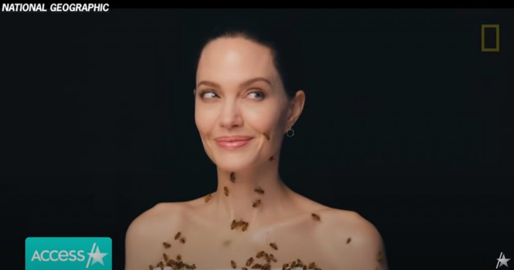 В защиту насекомых: Анджелина Джоли снялась с роем пчел