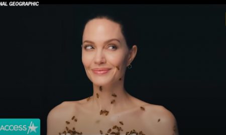 В защиту насекомых: Анджелина Джоли снялась с роем пчел