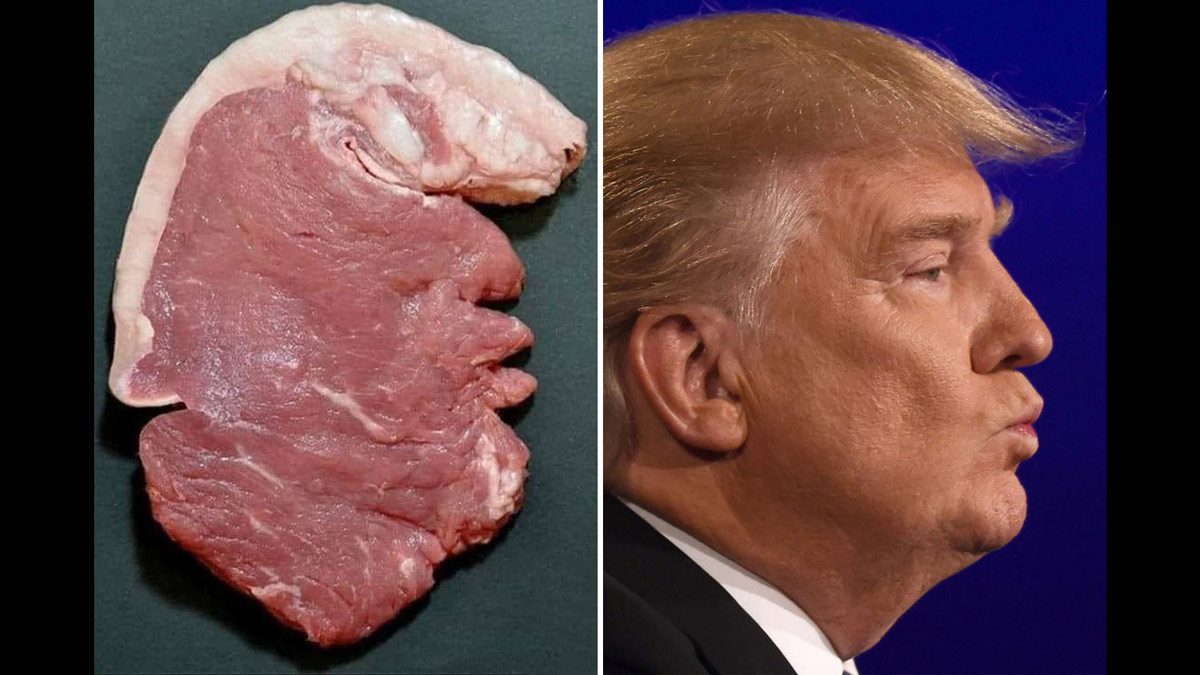 Художник вырезал из куска сырого мяса профиль головы Трампа