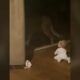 Видео: гепард попытался напасть на младенца в британском сафари-парке