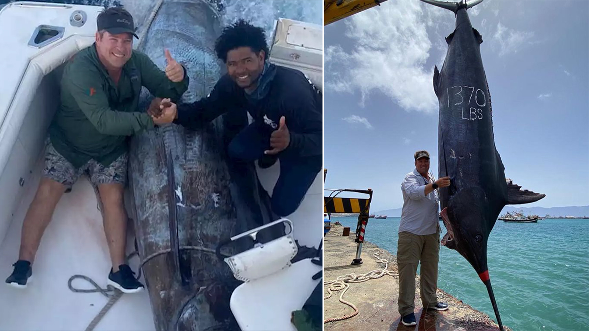 Рыболовы поймали гигантского марлина весом 621 килограмм