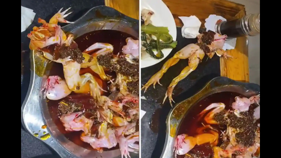 В Китае маринованная лягушка без головы выпрыгнула из блюда