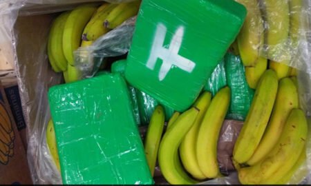 В чешские супермаркеты по ошибке привезли кокаин вместо бананов