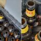 Австралиец обнаружил опасную змею в ящике с пивными бутылками