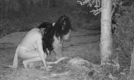 Голые «ведьмы» попытались съесть оленя в ночном лесу и попали на камеру