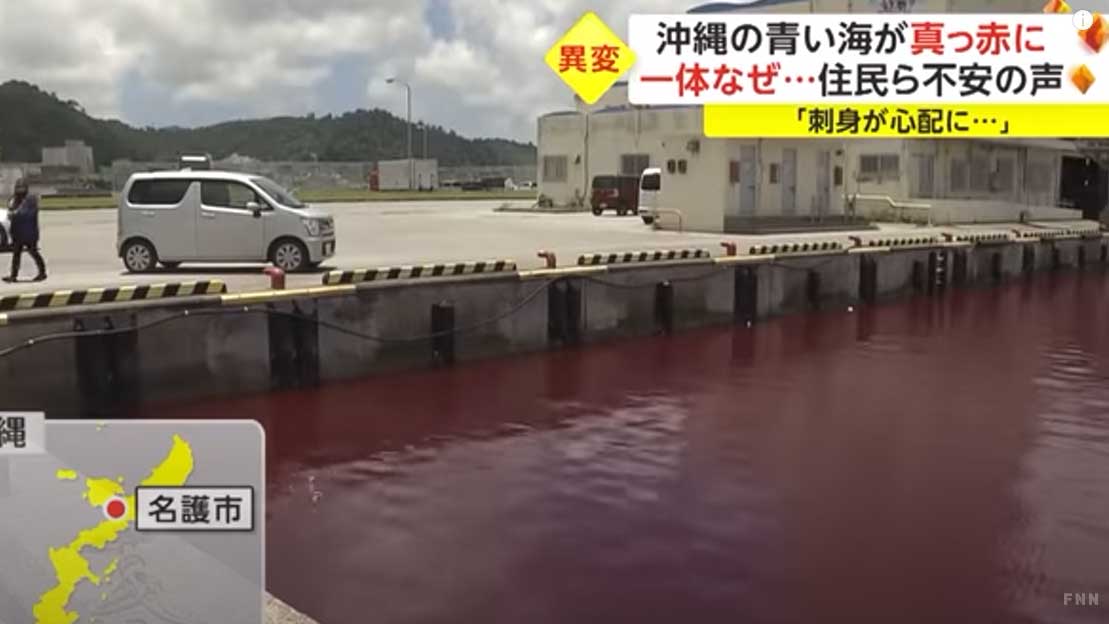 Вода в порту на Окинаве стала красной из-за утечки с крупной пивоварни