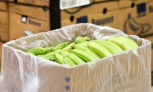 Экспорт бананов