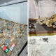 Крупную партию кокаина нашли в контейнере с кофе в порту Петербурга